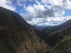 IMG 7344